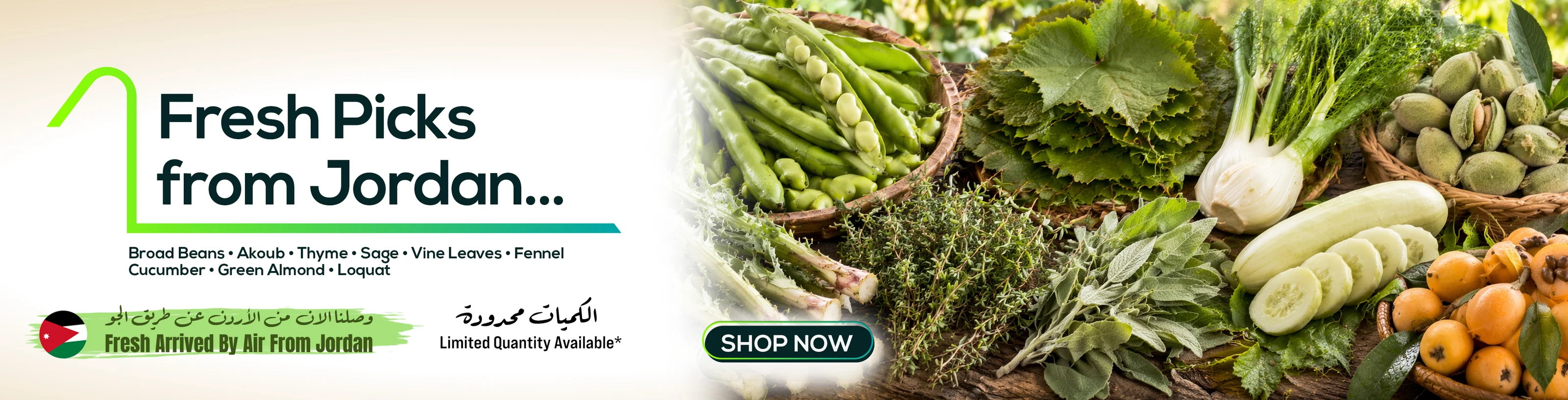 Freshness and Quality Delivered Daily